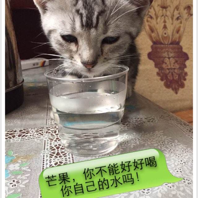 建设公司存款证明样本